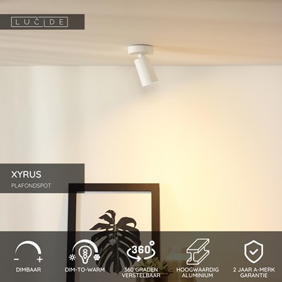 Lucide XYRUS - Plafondspot - Ø 9 cm - LED Dim to warm - GU10 - 1x5W 2200K/3000K - Wit